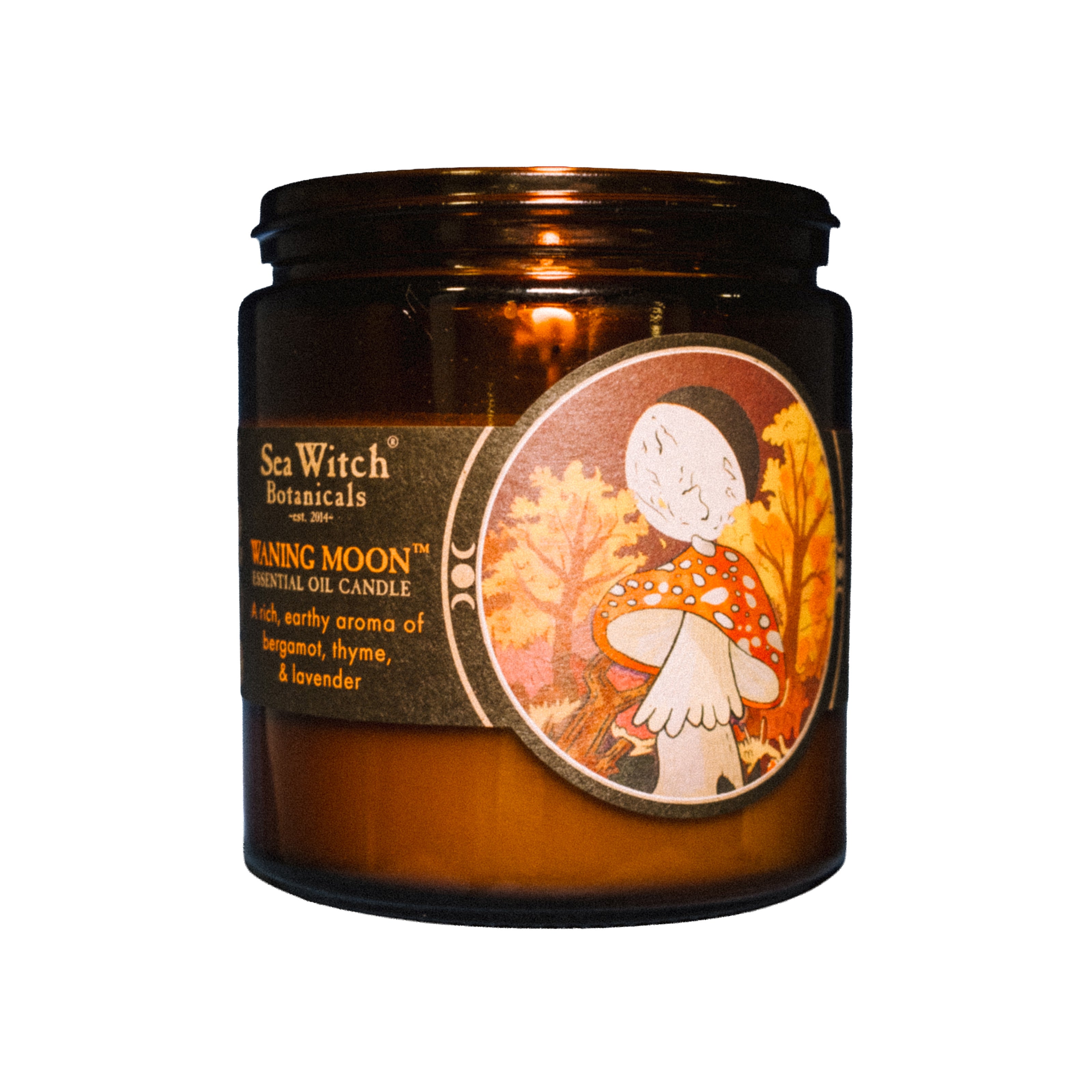 WSCWNM2651: Candle, Waning Moon (10 oz)