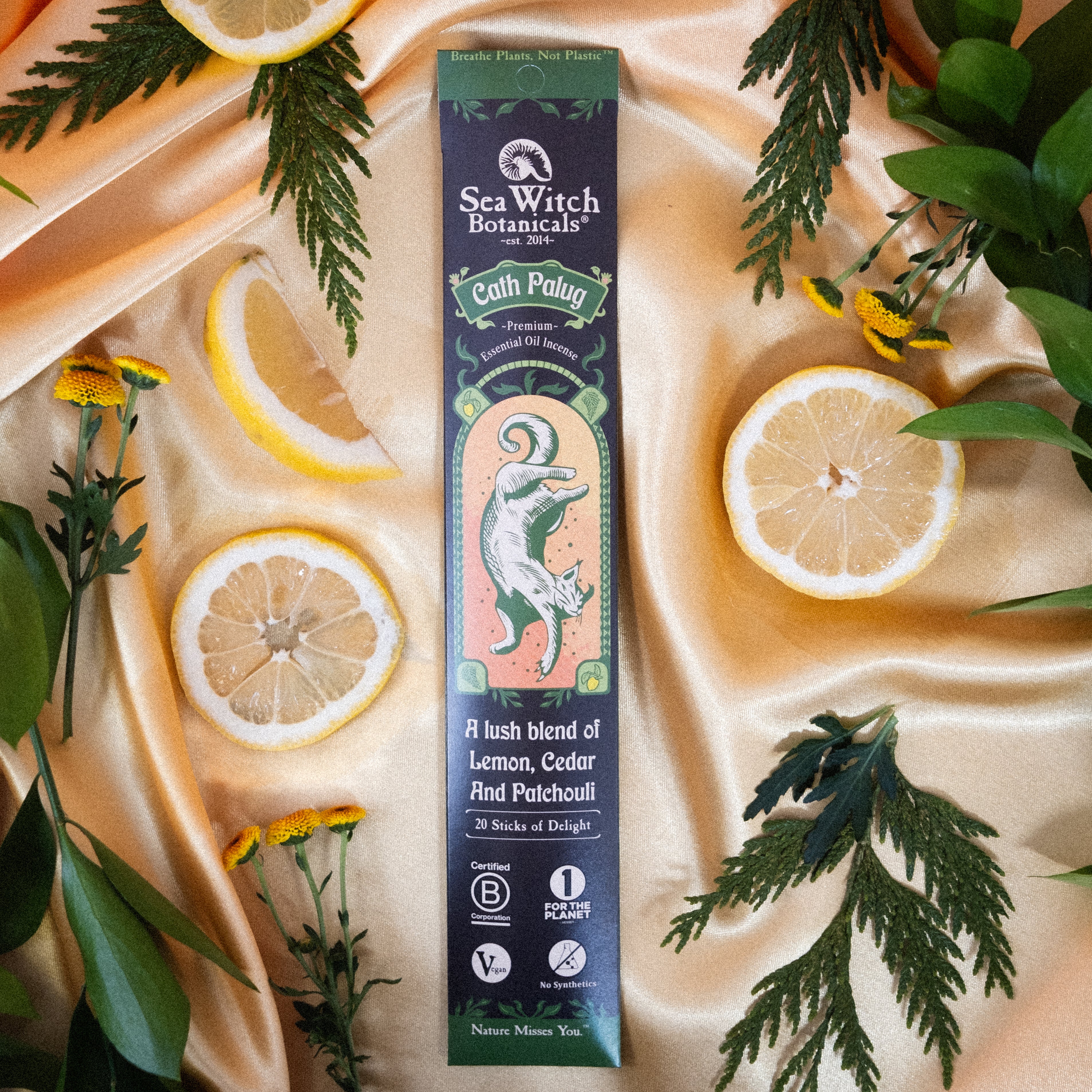 WSI2CP2828 Incense: Cath Palug 20 Pack