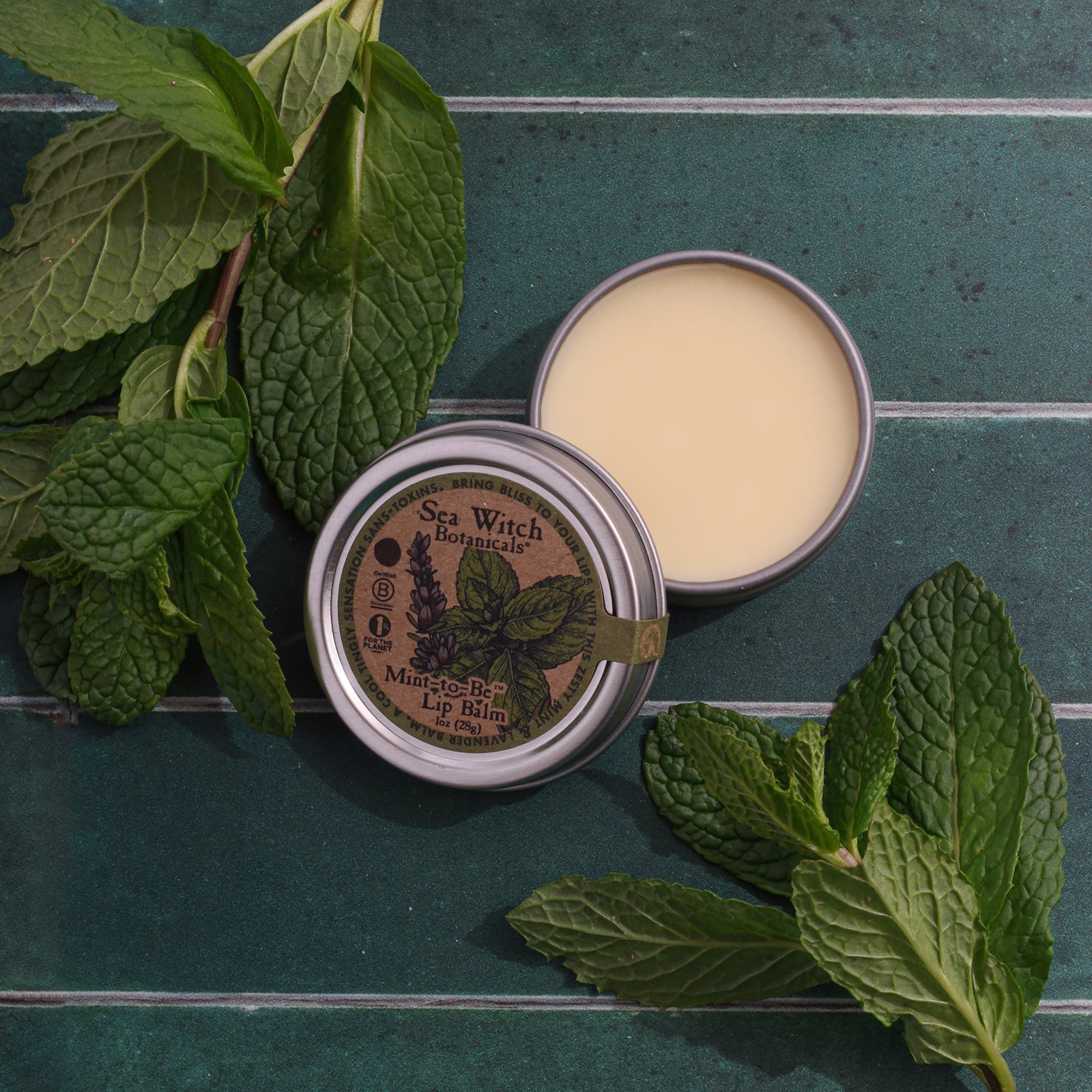 WSLBMB5107: Vegan Lip Balm: Mint to Be