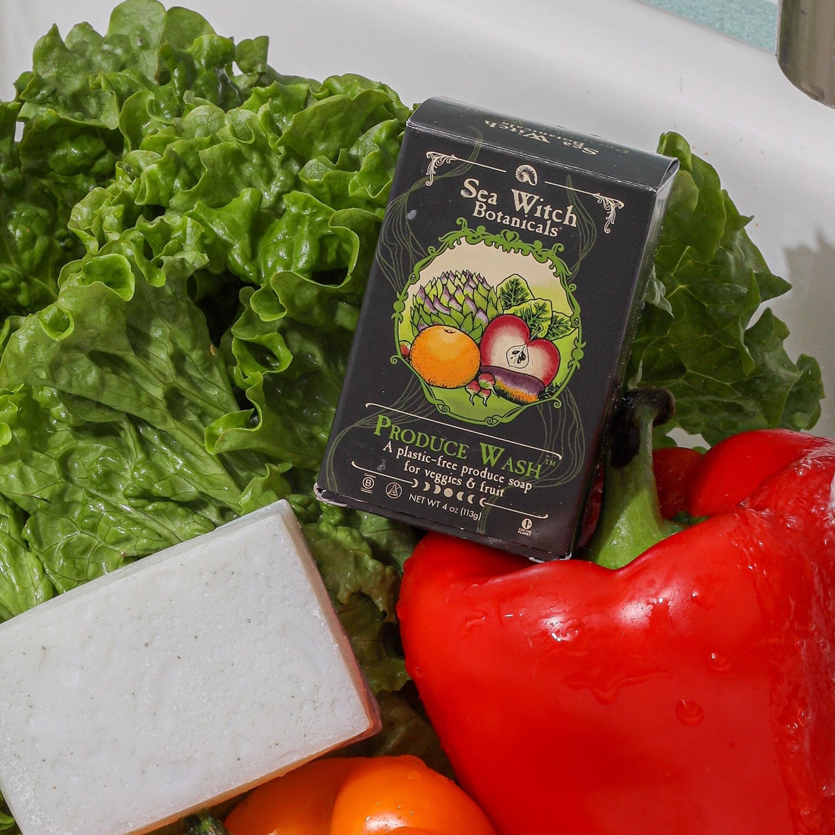 WSHMPW4520: Produce Wash