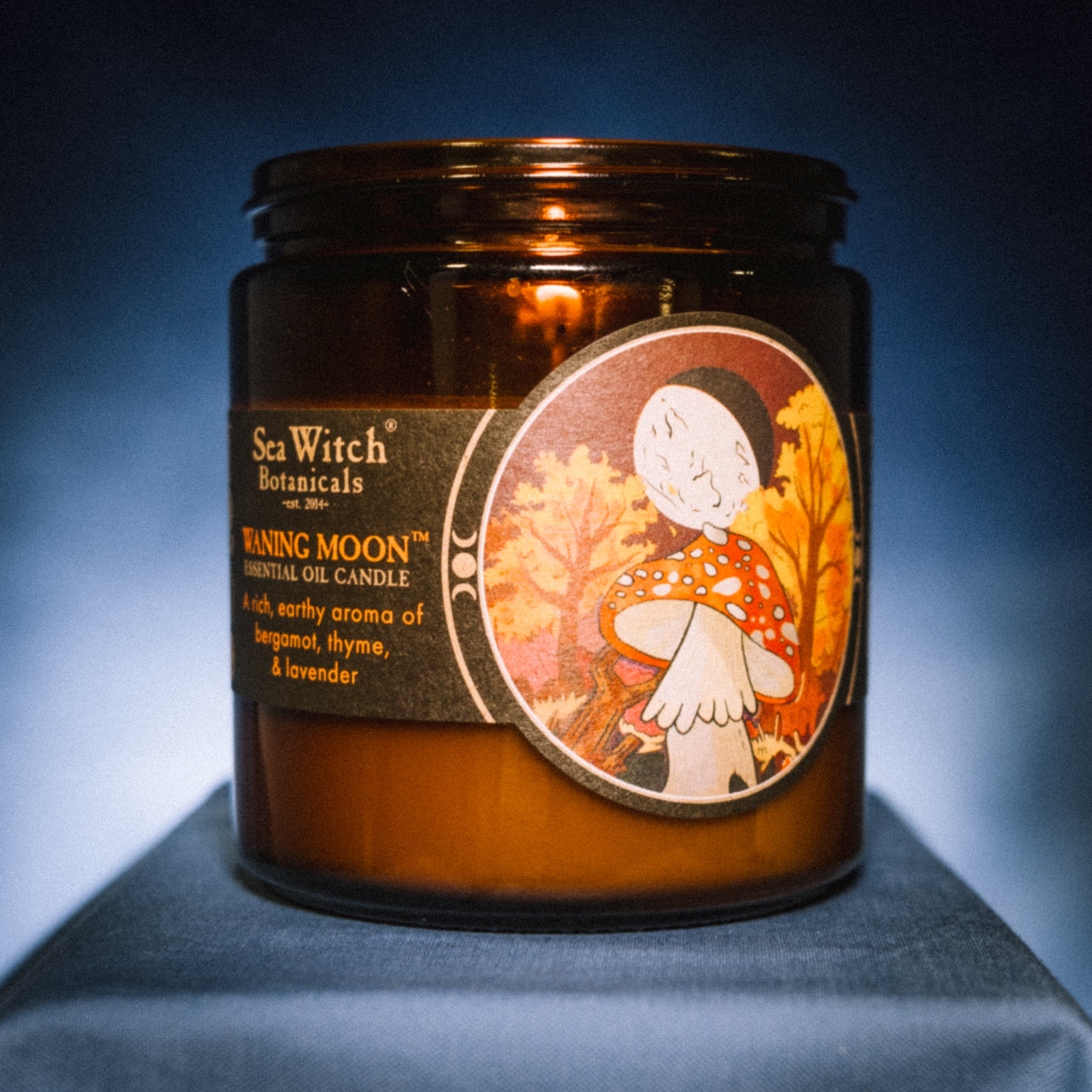 WSCWNM2651: Candle, Waning Moon (10 oz)